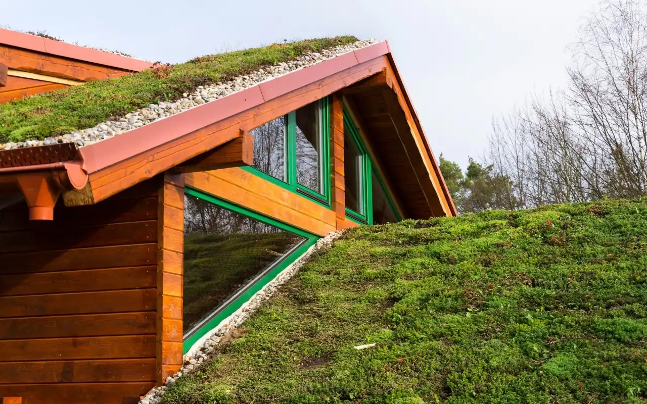 Eco-friendly green roof installation promoting sustainability in urban homes