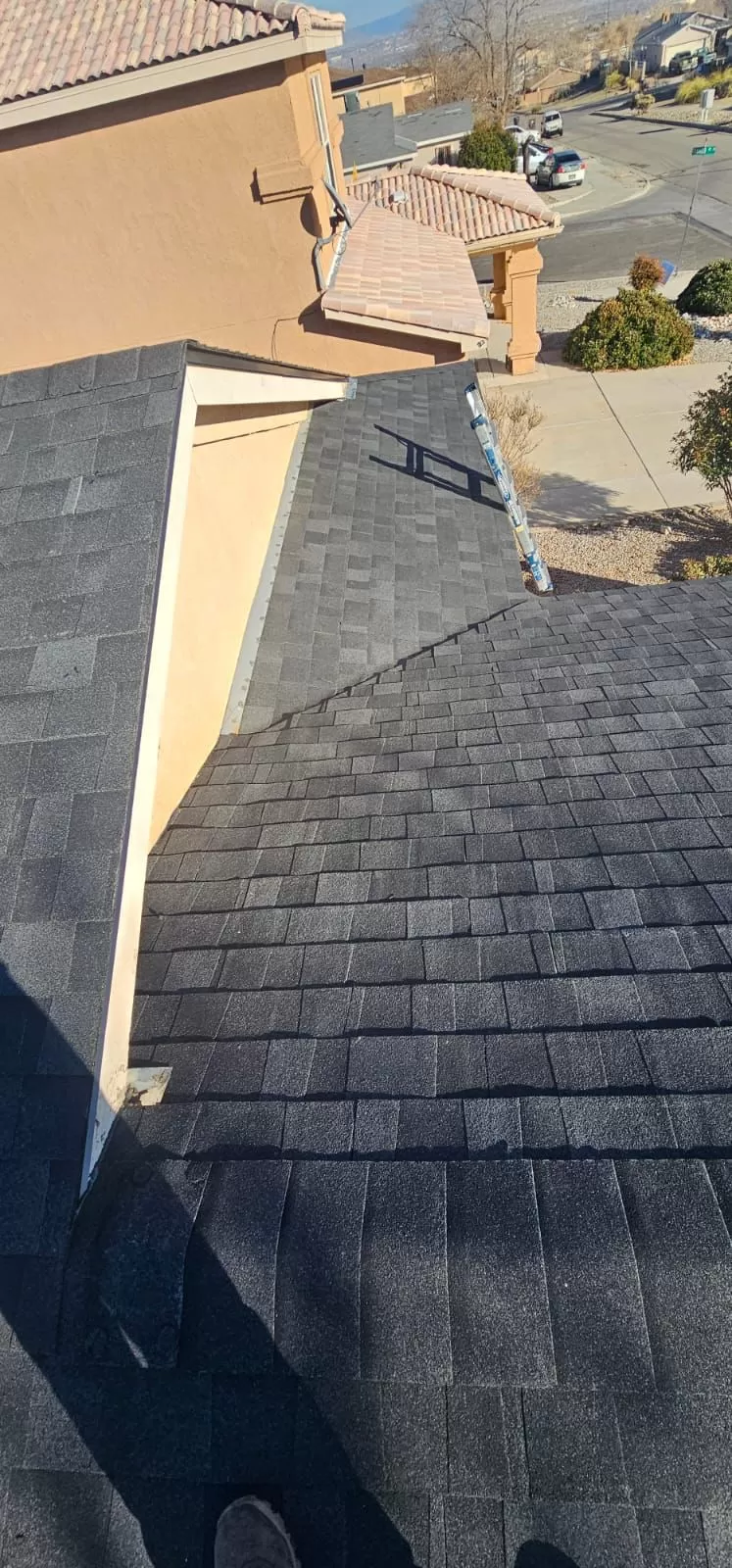 Shingle Roof