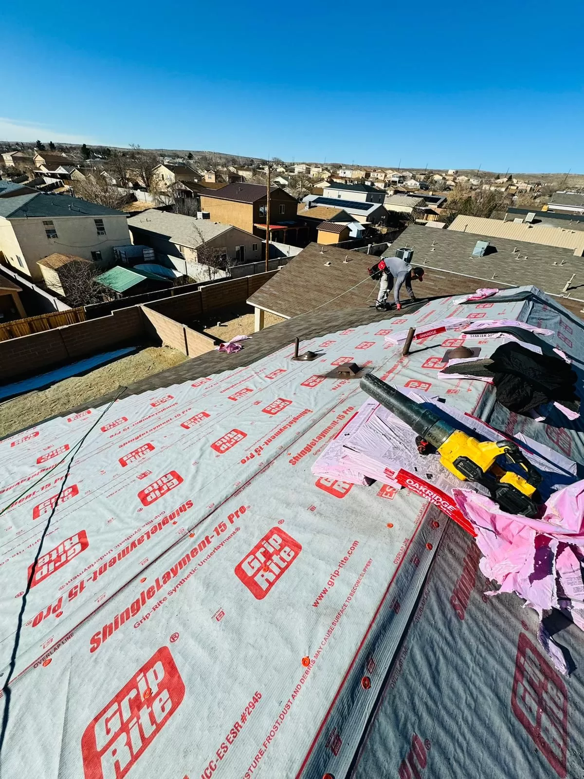 Shingle Roof