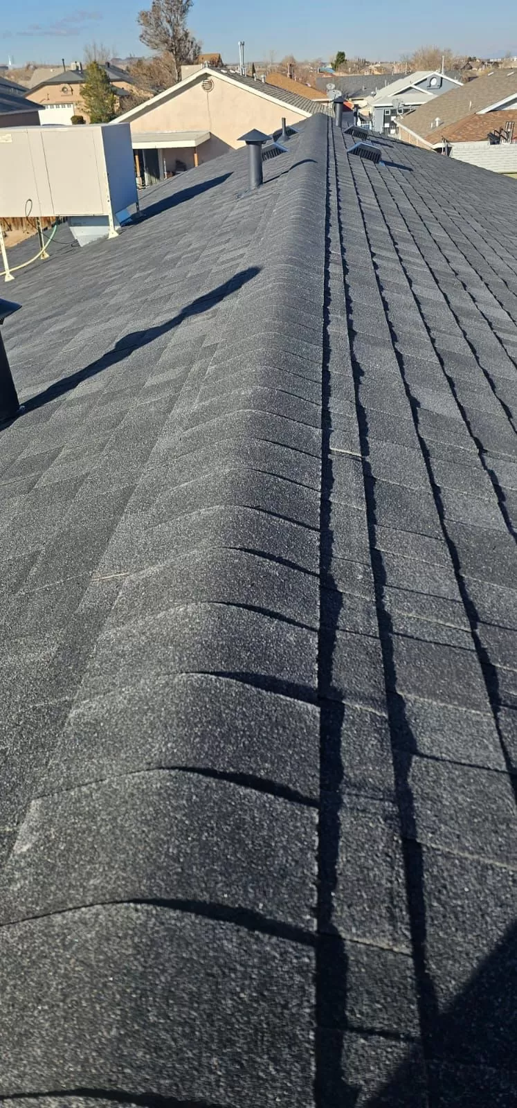 Shingle Roof