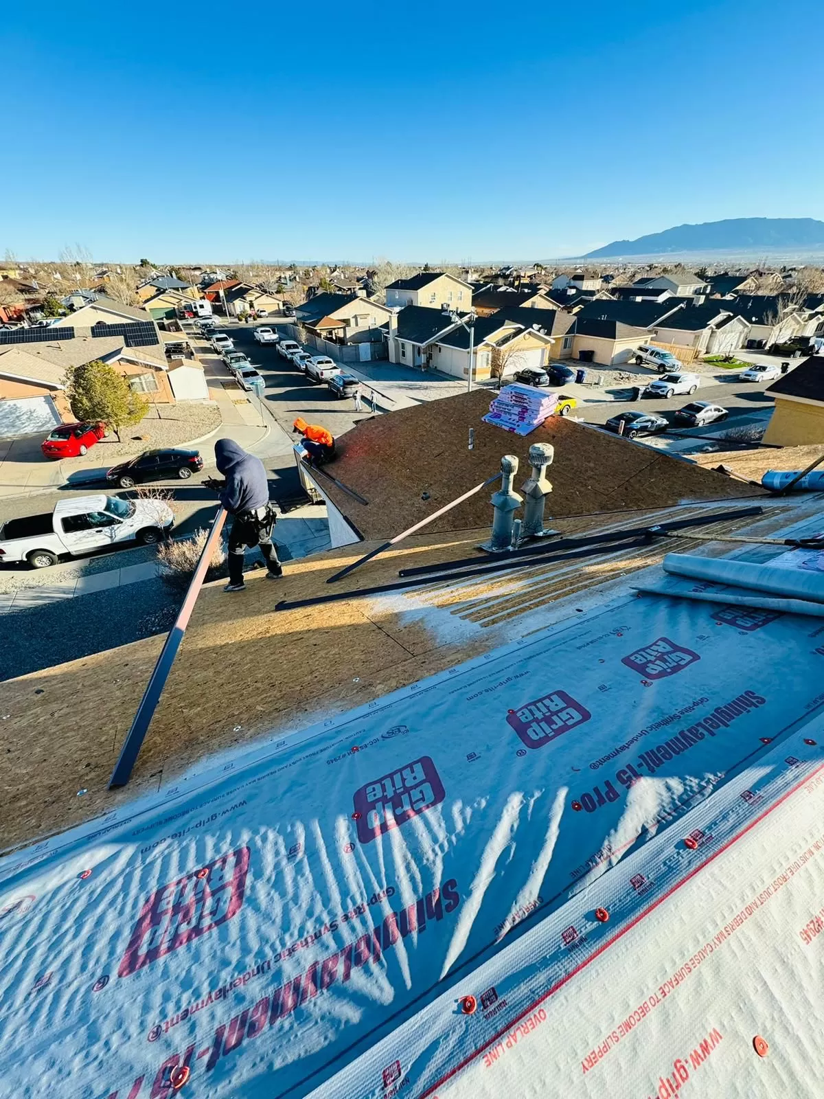 Shingle Roof