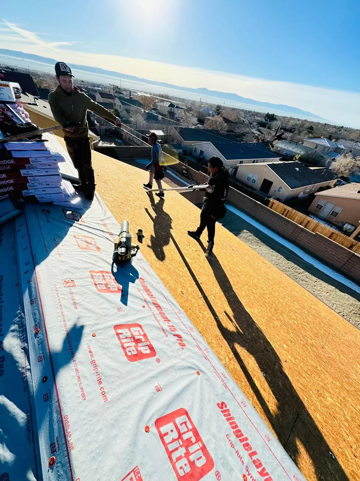 Shingle Roof