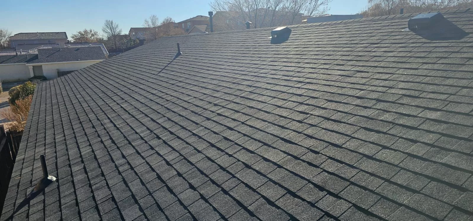 Shingle Roof