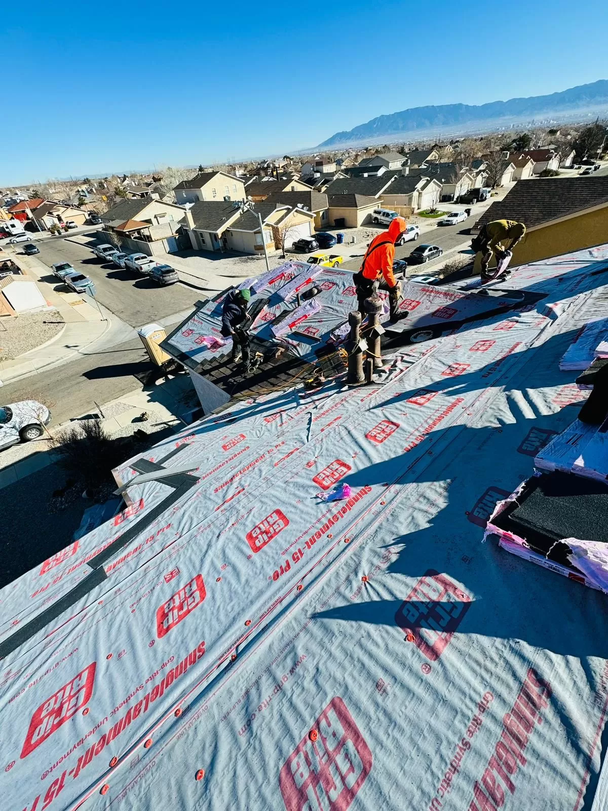 Shingle Roof