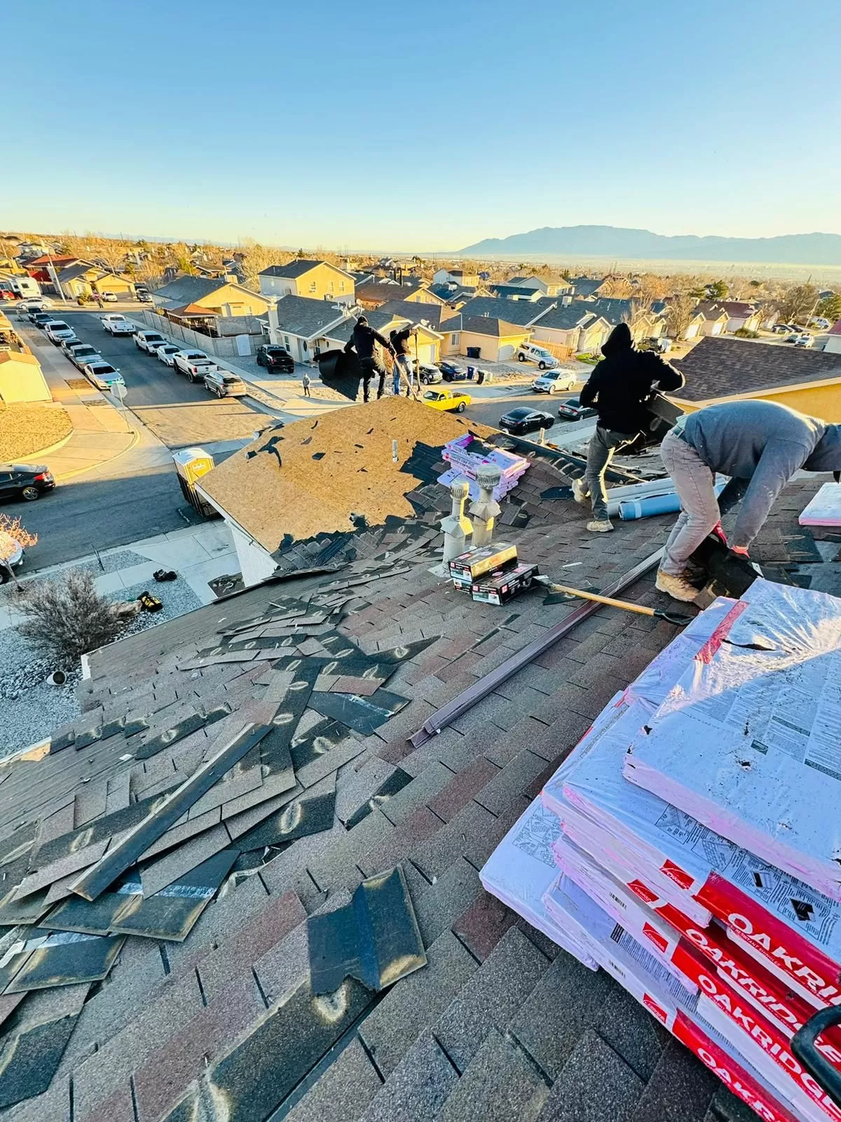 Shingle Roof